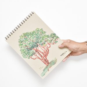 2 CROQUERAS CARTA ARBOLES NATIVOS