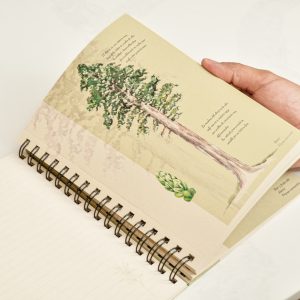 Cuaderno Alerce