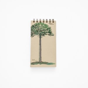 Libreta Araucaria